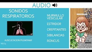 RUIDOS RESPIRATORIOS AUDIO [upl. by Ahseryt]