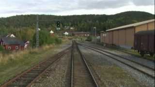 Cab Ride Norway  Trondheim  Bodø fall Nordland Line [upl. by Eruza]