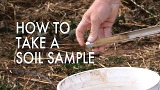 How to Take a Soil Sample [upl. by Strade602]