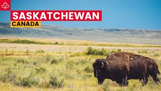 Canada Road Trip Best Things To Do In Saskatchewan [upl. by Alduino782]