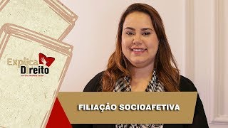 Explica Direito Filiação Socioafetiva  2019 [upl. by Ahsenad]