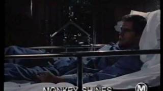 Monkey Shines  trailer [upl. by Ronyam455]