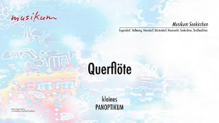 Querflöte  Musikum Seekirchen [upl. by Kylah426]