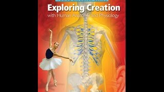 Apologia Exploring Creation Anatomy and Physiology Young Explorer series [upl. by Alberta]