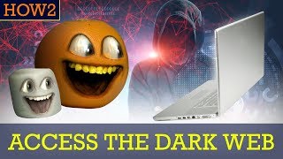 HOW2 How to Access the Dark Web [upl. by Annotahs]