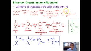 Lecture 4 Menthol [upl. by Madonia847]