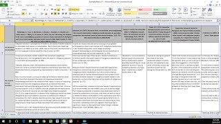 How to Create a Literature Matrix Excel [upl. by Willis]