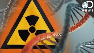 How Radiation Changes Your DNA [upl. by Anaidiriv]