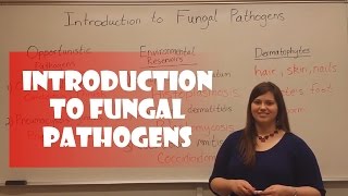 Introduction to Fungal Pathogens [upl. by Naggem649]