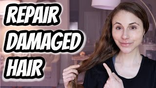 How to REPAIR DAMAGED HAIR Dr Dray [upl. by Cirtap]