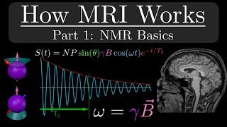 How MRI Works  Part 1  NMR Basics [upl. by Eeliak]