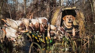 Arkansas Flooded Timber Duck Hunting  Fowled Reality [upl. by Onaicram]