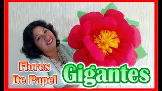 DIY  Como Hacer Flores De Papel Crepe  GIGANTES [upl. by Hinch]