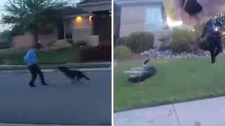 Dog tased by officers investigating domestic dispute [upl. by Ardyth]