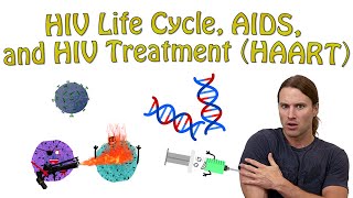 HIV Life Cycle AIDS and HIV Treatment HAART [upl. by Jean-Claude]