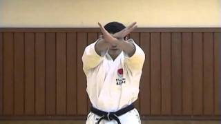 KATA  BUNKAI HEIAN GODAN [upl. by Bandur]