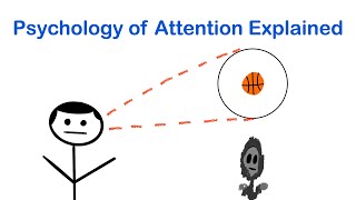 Psychology of Attention Explained  Selective Attention Inattentional Blindness amp Change Blindness [upl. by Rialb181]