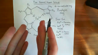 The Heme Group and Hemoglobin Part 1 [upl. by Olvan]