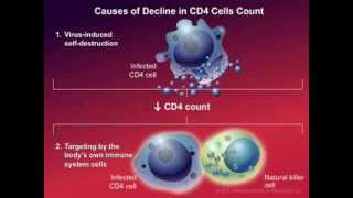 How HIV Causes Disease [upl. by Esilrahc762]