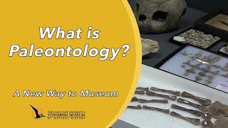 What is Paleontology  A New Way to Museum [upl. by Norac]