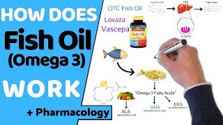 How Does Fish Oil Work  Pharmacology [upl. by Betteann]