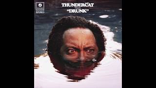 Thundercat  Them Changes [upl. by Behl593]