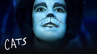 Mr Mistoffelees Part 1  Cats the Musical [upl. by Ardnosal354]