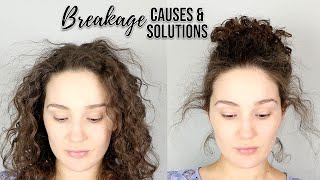 Breakage 101  Causes amp Solutions for Breakage in Curls [upl. by Mathilde886]