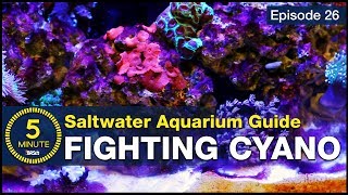 New concept in Cyano control How to BEAT red cyanobacteria slime algae [upl. by Enwahs746]