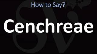 How to Pronounce Cenchreae CORRECTLY [upl. by Maurie]