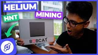 Helium Mining HNT Bobcat Miner 300 Unboxing amp How to Setup [upl. by Haibot]