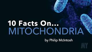 10 Facts On Mitochondria [upl. by Aix232]