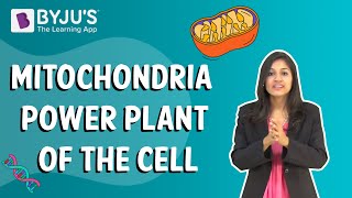 Mitochondria the Powerplant of the Cell [upl. by Htaek]