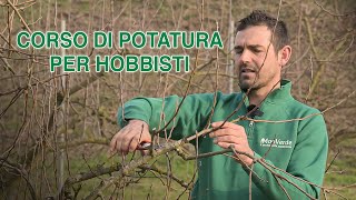 POTARE ALBERI DA FRUTTO  Corso di potatura alberi da frutto per hobbisti  allevamento e produzione [upl. by Clements]