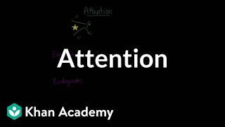 Divided attention selective attention inattentional blindness amp change blindness  Khan Academy [upl. by Magdaia]