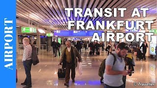 TRANSIT WALK AT FRANKFURT Airport FRA Terminal 1  Connection Flight Transfer Arriving amp Departing [upl. by Shelia]