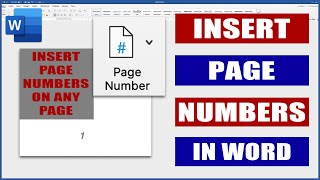 Report Writing Part 8  Page Numbers  Format  INSERT TO ANY PAGE [upl. by Rozella]