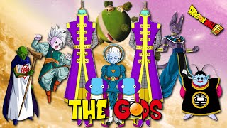 Dragon Ball GODS HIERARCHY Explained  History of Dragon Ball [upl. by Anelahs]