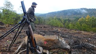 Hunting Exmoor Giants [upl. by Allemaj721]